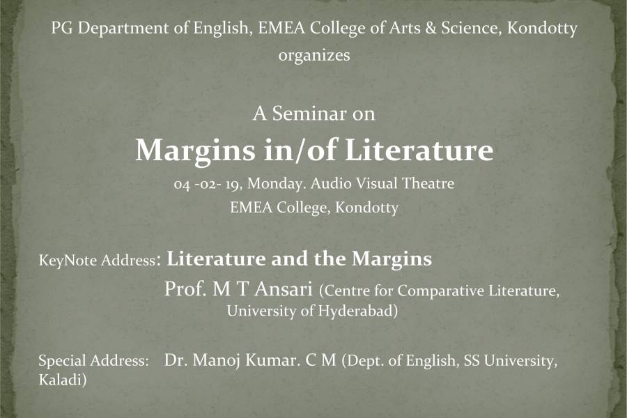 Margins in/of Literature