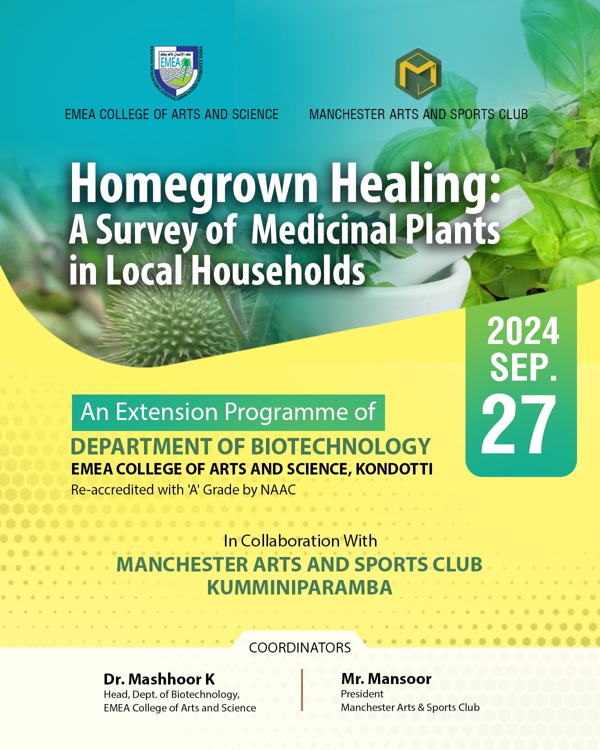 Homegrown Healing: A Survey of Medicinal Plants in Local Households