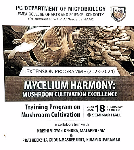 Mycelium Harmony:Mushroom Cultivation Excellence